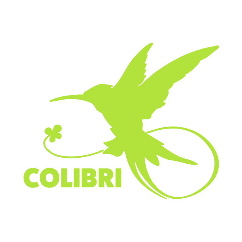 Logo CAMI