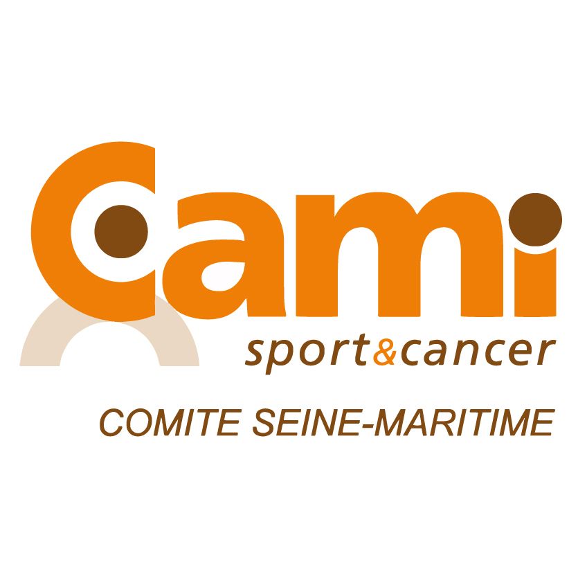 Logo CAMI